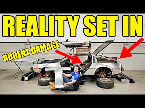 I Took EVERYTHING Apart On My Abandoned DeLorean & Discovered Its TRUE Condition! This Is Heavy!