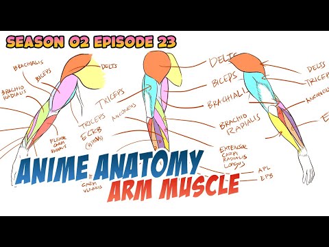 How To Draw Anime | Arm Muscle