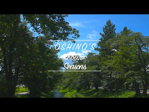 【忍野村公式】総集編 ＜Short Ver.＞〜OSHINO'S Four Seasons〜＜2024＞