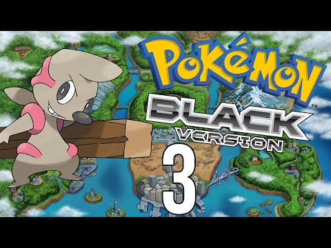 Pokémon Black 3