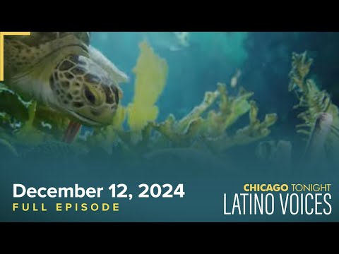 December 12, 2024 Full Episode — Latino Voices