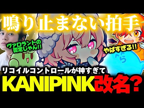 【VALORANT】神プレイで盛り上がり、″KANIPINK″から″リコイルコント・ロール″に改名しようとするなるせ【なるせ/らっだぁ/ぺいんと/ぐちつぼ/鯉太郎/切り抜き】