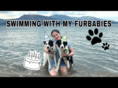 SWIMMING WITH MY FURBABIES 🐶