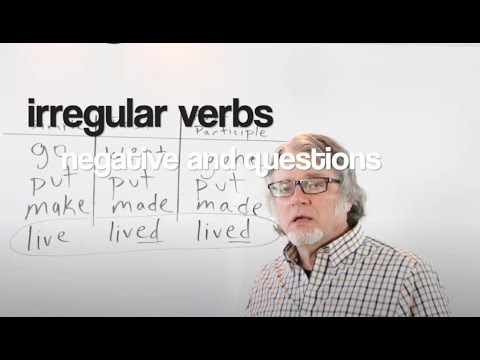 how to make irregular verbs negative and form questions in the past tense