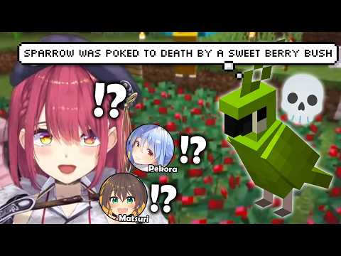 Subaru’s Prank Ended in a Whole Funeral 💀🦜 (Minecraft New World)