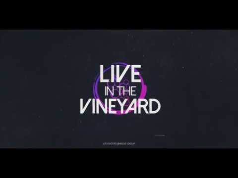 Magic Giant at Live In The Vineyard 2017