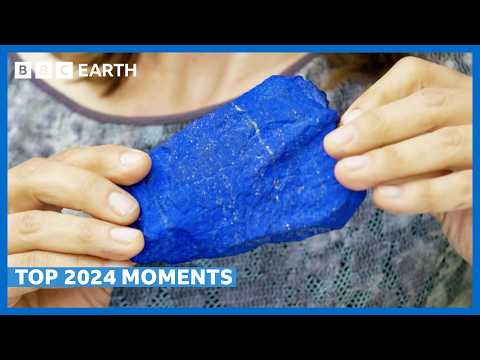 One Hour Of Your Favourite Videos | BBC Earth Science