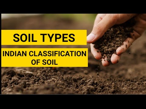 Soils in India | Types of Soils in India | Indian clssification |