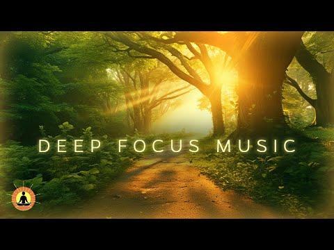 6 Hours of Focus Music for Work and Studying 🍂 Enchanting Autumn Forest with Beautiful Nature Sounds