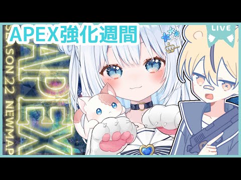 〖apex〗デュオランク💎実力強化されるよね！？！with🐯♂〖#vtuber / #猫海ましろ /#初見さん大歓迎〗