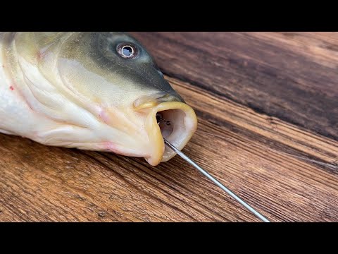 Many people don't know! The function of this Fishing Tool Fishing 2023"