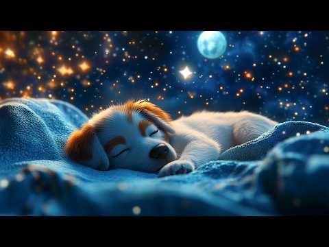 Baby Sleep Music ♫♫♫ Lullaby For Babies To Go To Sleep #886 Bedtime Lullaby For Sweet Dreams