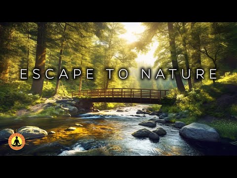 6 HOURS of Stress Relief Meditation: Nature Meditation Music, Deep Relaxation | Quiet The Mind ☯3819