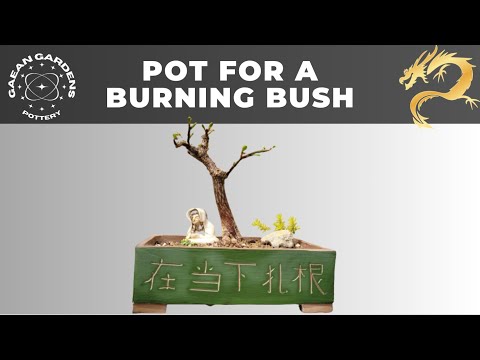 How I made  a bonsai pot in  pottery  for my burningbush inspired by yanxi  palace